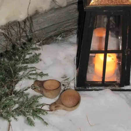 Bed & Breakfast Uniikki Maalaisidyllissae Tervola