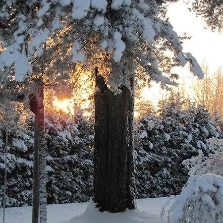 Uniikki Maalaisidyllissae