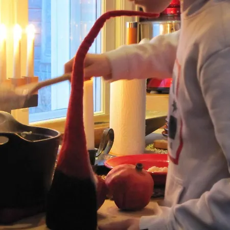 Frühstückspension Uniikki Maalaisidyllissae Tervola