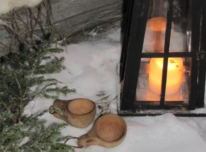 Aamiaismajoitus Uniikki Maalaisidyllissä Tervola