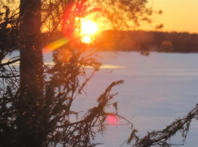 Uniikki Maalaisidyllissä Aamiaismajoitus 4*